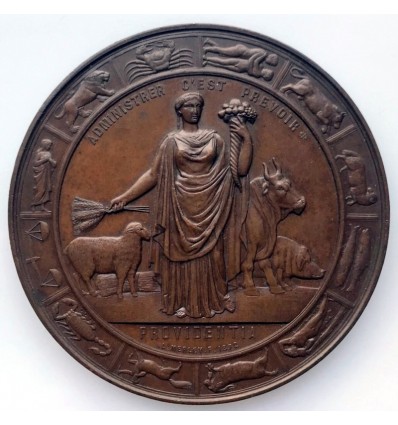 III ème République, marché aux bestiaux et abattoirs généraux de Paris 1872