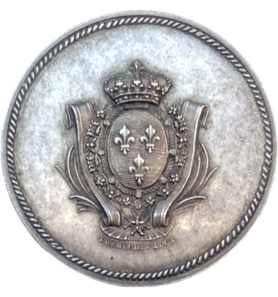 Louis XVIII, module de 10 centimes ( décime au N et au L ) durant les Cent Jours 1815